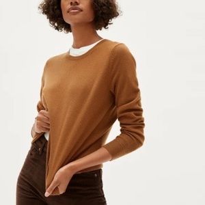 Brown Everlane cashmere sweater